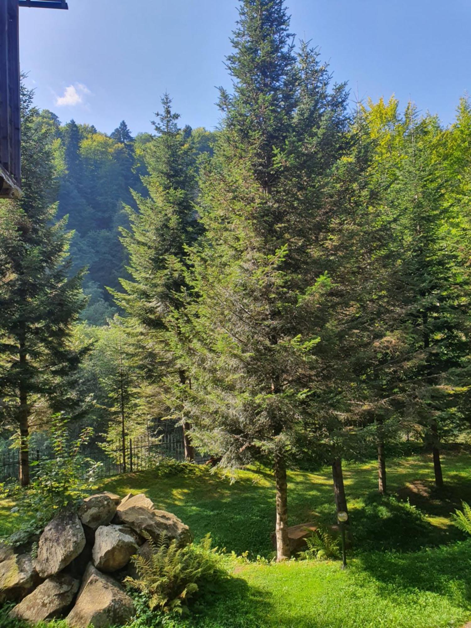 Садиба Nad Prutom Yaremche Exterior foto